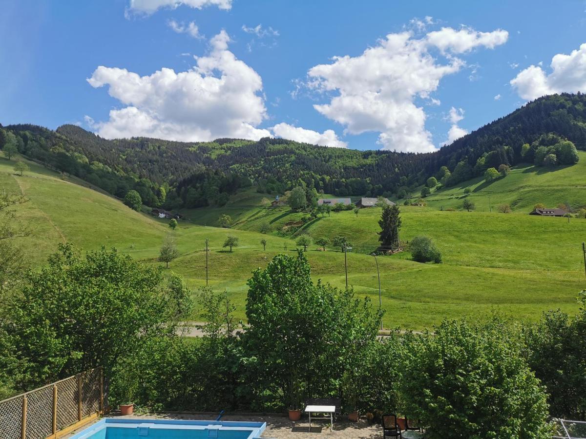 Ferienwohnung Vogelsang Im Schwarzwald ミュンスタータール エクステリア 写真