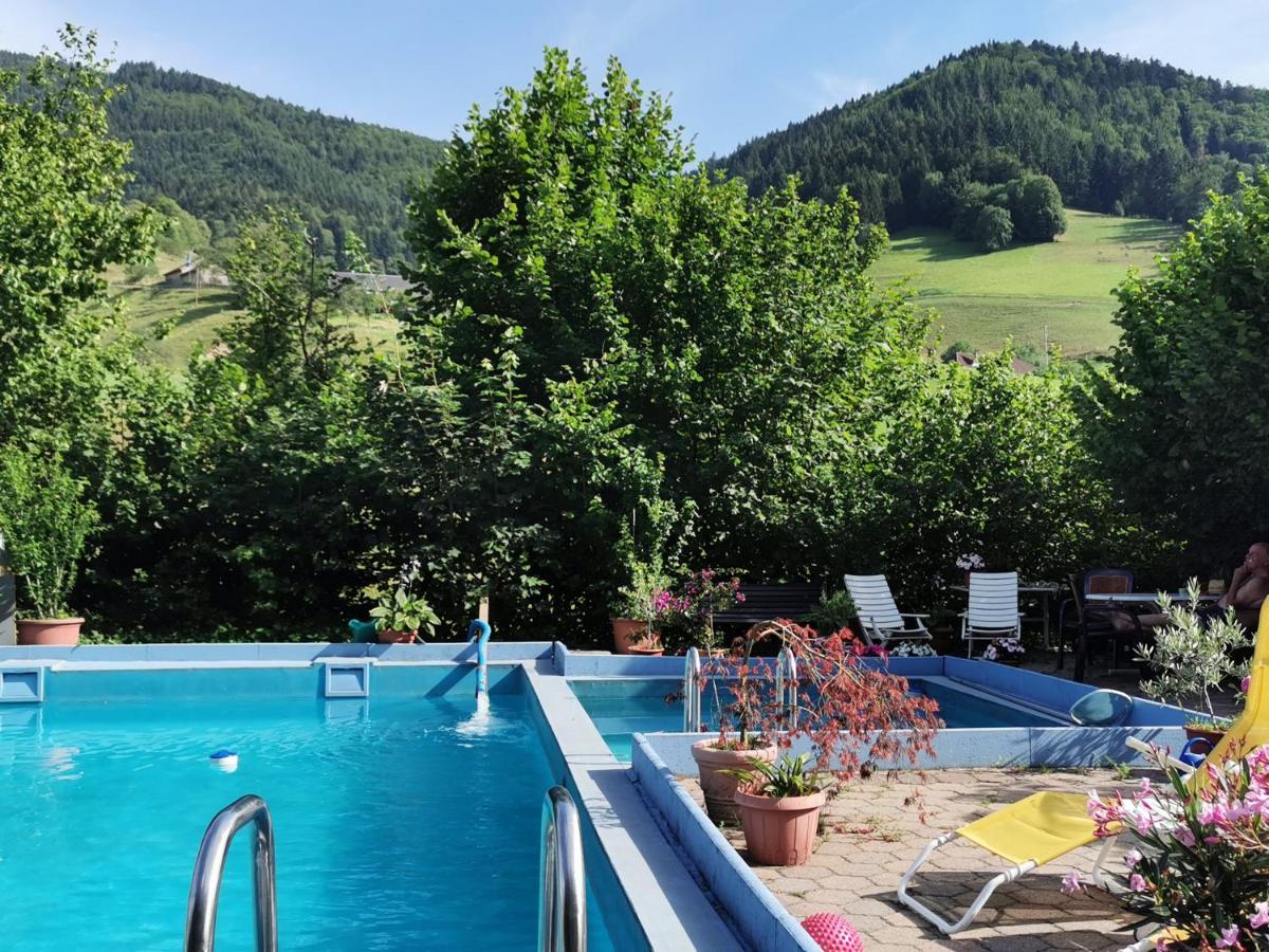 Ferienwohnung Vogelsang Im Schwarzwald ミュンスタータール エクステリア 写真