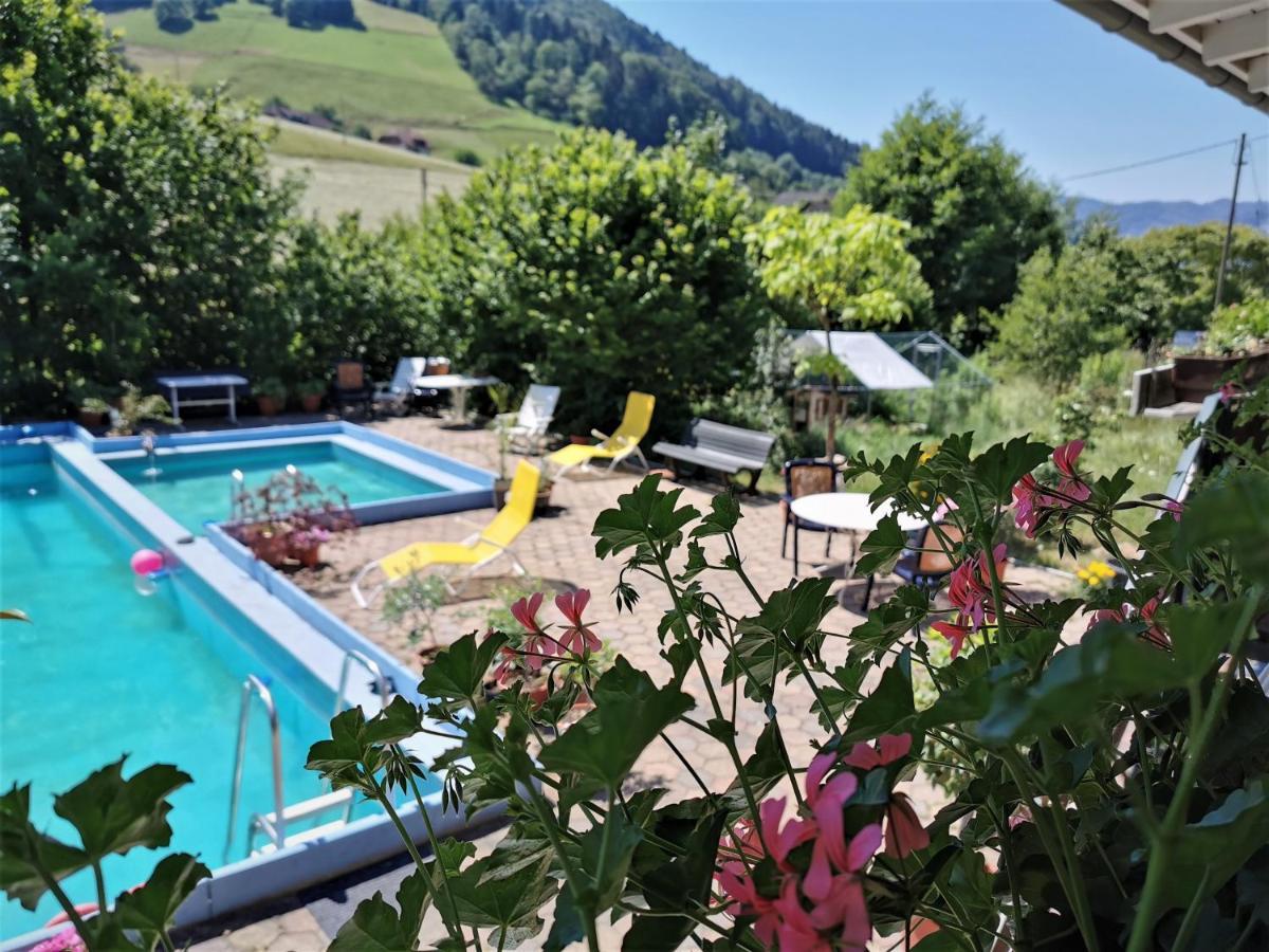 Ferienwohnung Vogelsang Im Schwarzwald ミュンスタータール エクステリア 写真