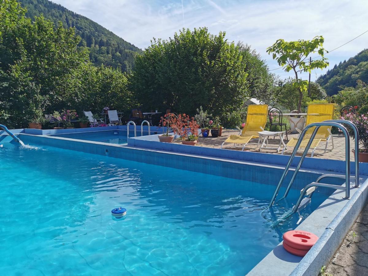 Ferienwohnung Vogelsang Im Schwarzwald ミュンスタータール エクステリア 写真