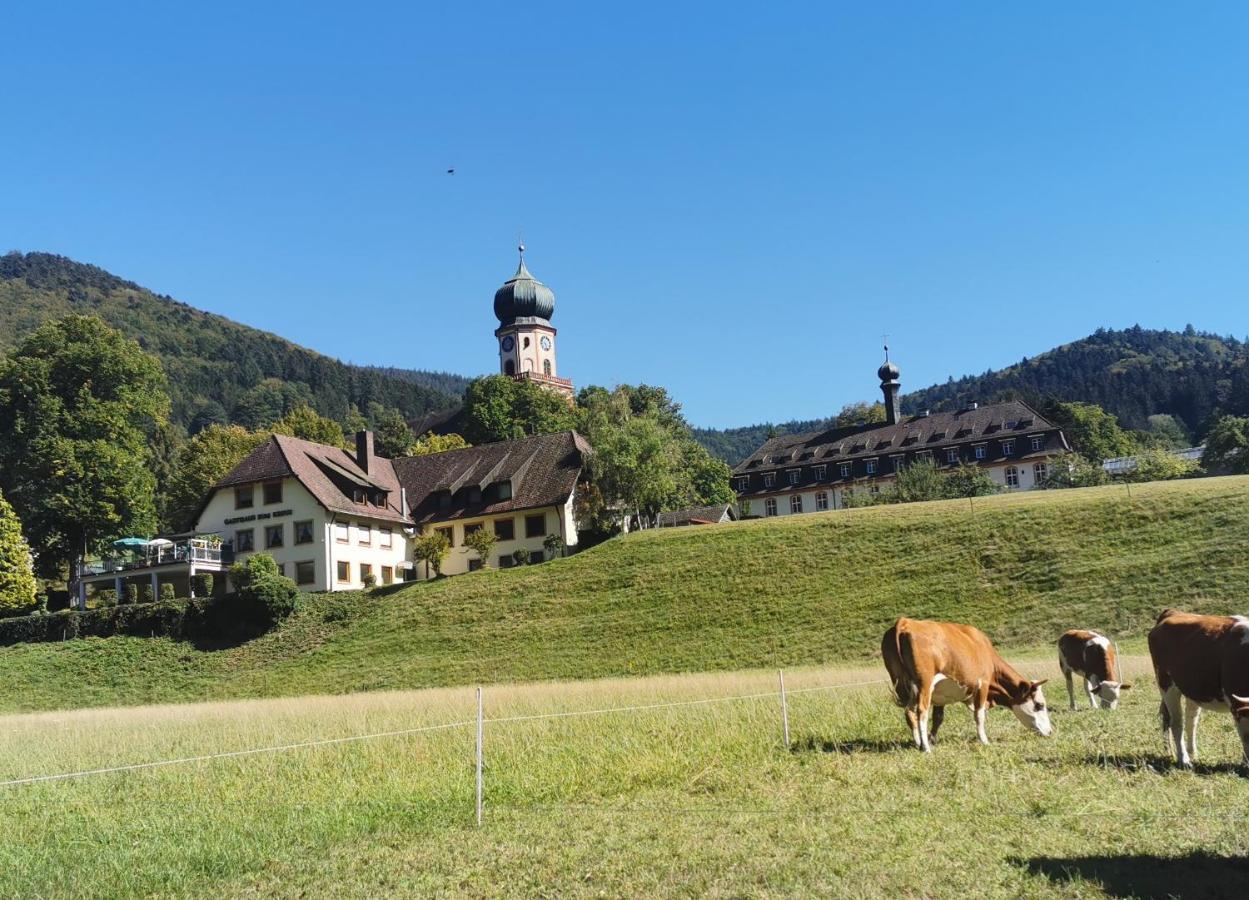 Ferienwohnung Vogelsang Im Schwarzwald ミュンスタータール エクステリア 写真