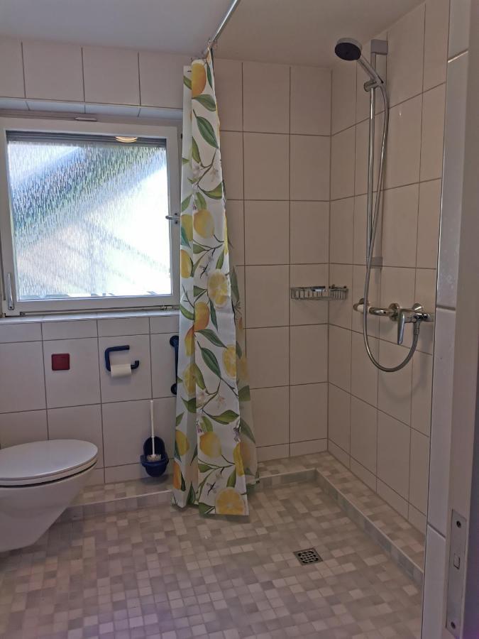 Ferienwohnung Vogelsang Im Schwarzwald ミュンスタータール エクステリア 写真