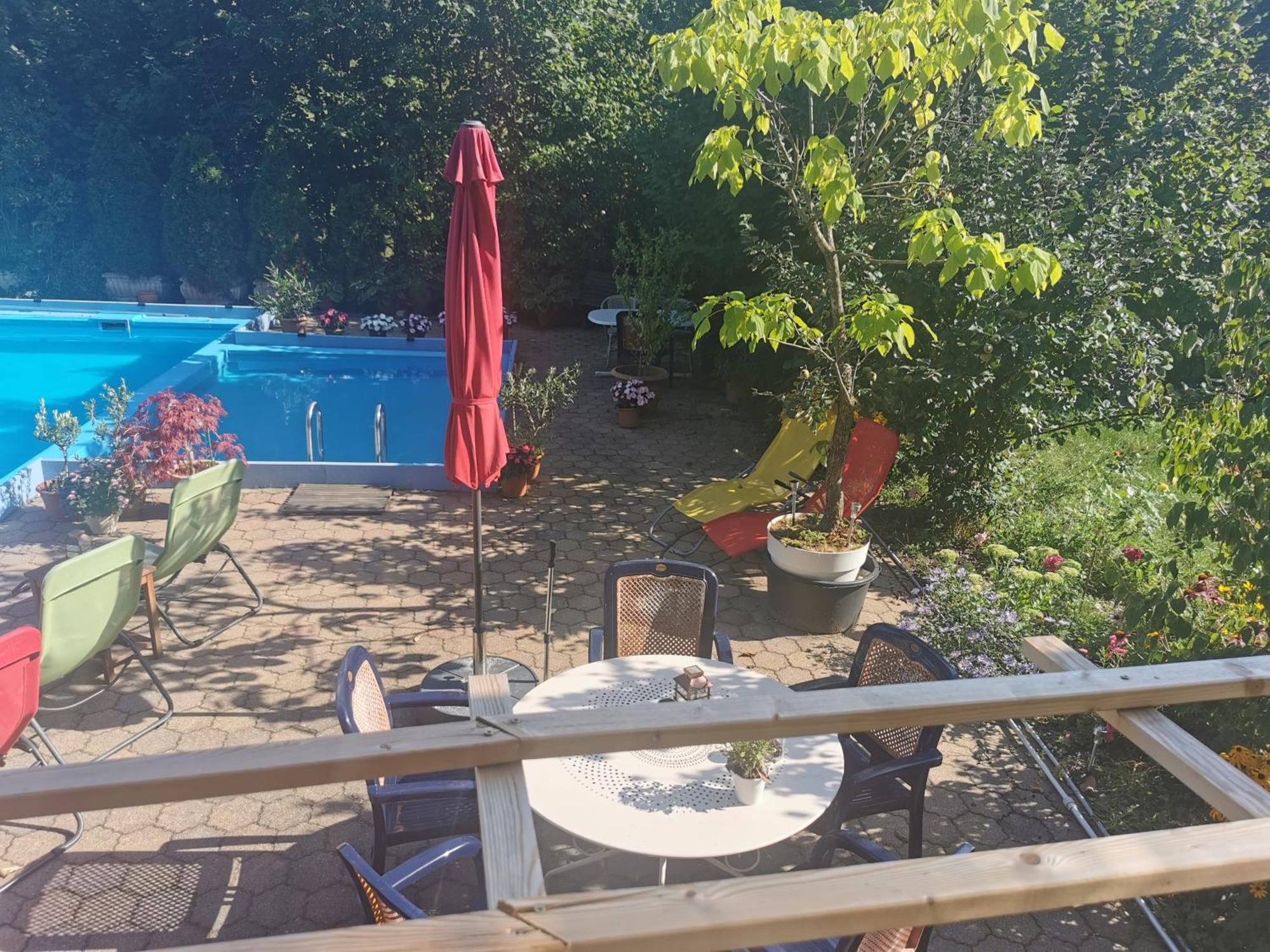Ferienwohnung Vogelsang Im Schwarzwald ミュンスタータール エクステリア 写真