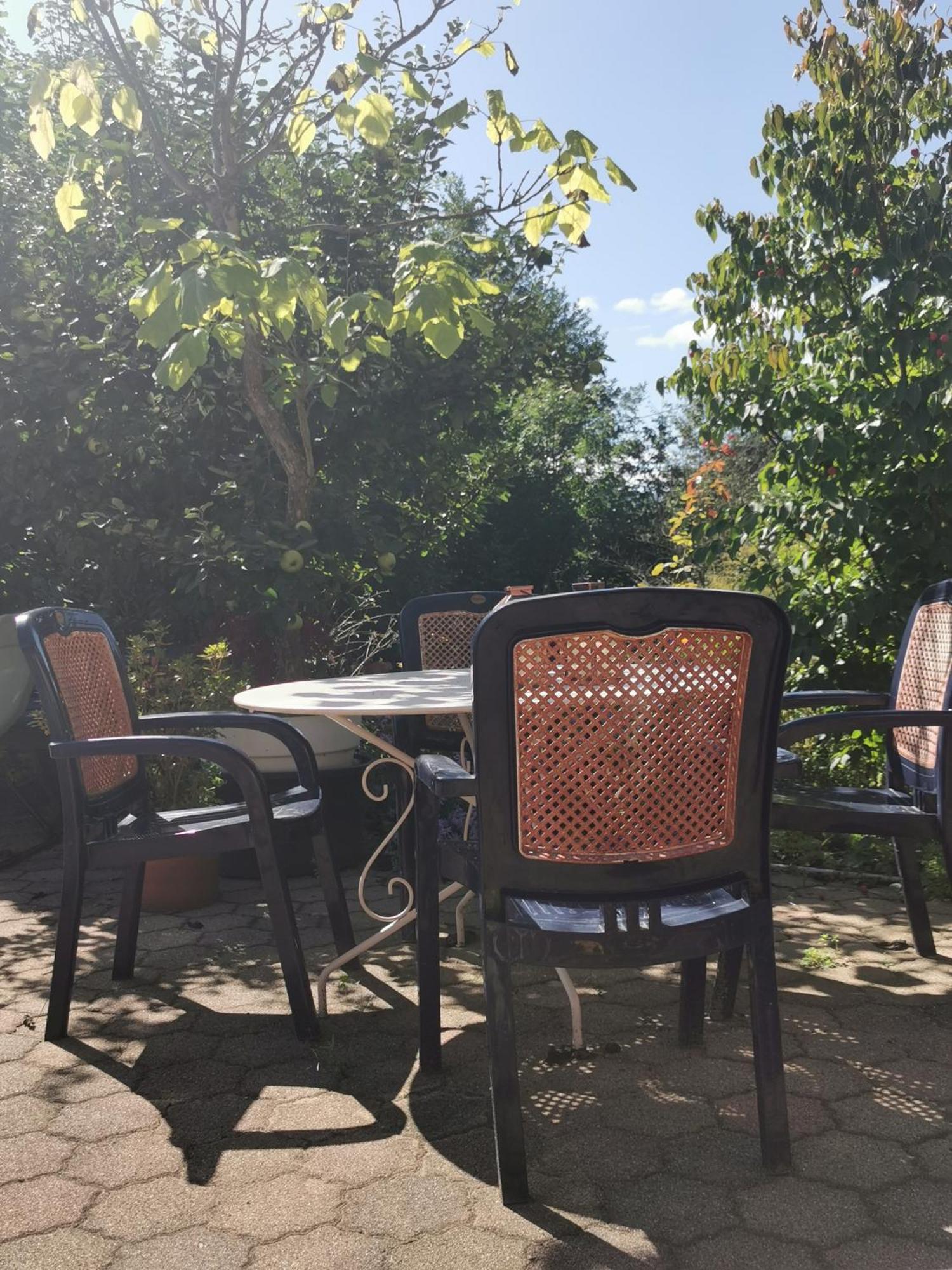Ferienwohnung Vogelsang Im Schwarzwald ミュンスタータール エクステリア 写真